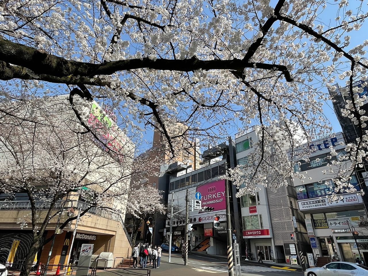 鷺沼駅前はまもなく桜満開